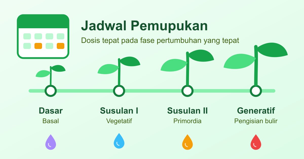 Jadwal Pemupukan yang Ideal untuk Hasil Panen Maksimal