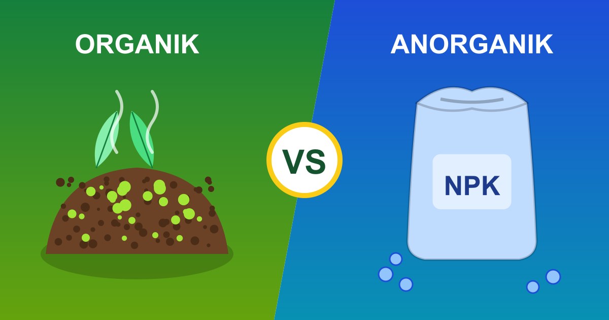 Perbedaan Pupuk Organik dan Anorganik, Mana yang Lebih Baik?