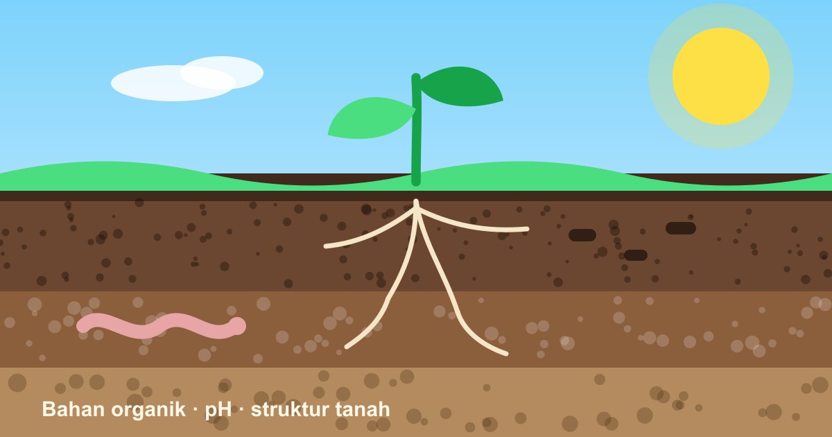Cara Merawat Tanah Agar Subur dan Produktif